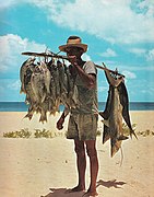 A fisherman and his catch, including small sharks, hooked on hand lines miles offshore in the Seychelles