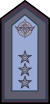 Fuerza Aerea Argentina - Brigadier Mayor.svg