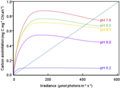 The relationship between irradiance and carbon assimilation for a monoculture of Woloszynskia halophila at different pH