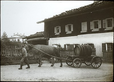 Juni 1903 - Brewer's dray - Zell am See Sat Jan 14 2012 21:14:08 GMT+0100 (W. Europe Standard Time) 2 114 KiB