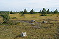 Het landschap in het natuurpark bij Lõu