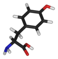 Chemical structure of Tirosina