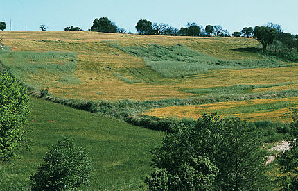 Solsona (Solsonès), 30 de maig de 2001