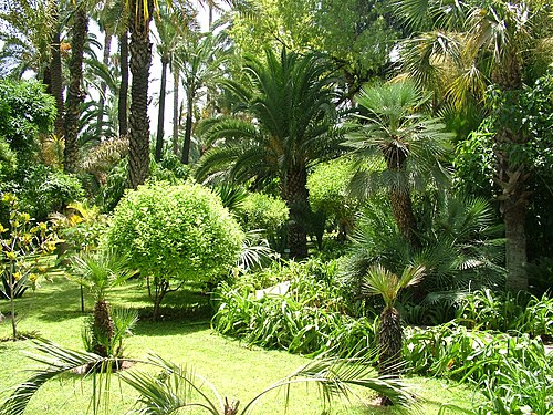 500px-Majorelle_Garden_%282%29%2CMarrakech%2CMorocco.jpg