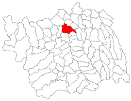 Location in Bacău County