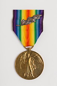 Obverse of the medal, with ribbon. Medal, campaign (AM 800720-1).jpg