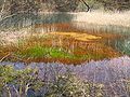 2007年5月23日 (水) 14:04時点における版のサムネイル