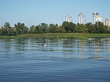 Мілина на захід від острова Малий Північний. Фото І. Парнікози, 2020 р.