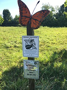 A monarch waystation near the town of Berwyn Heights in Prince George's County, Maryland (June 2017) Monarch Butterfly waystation sign.jpg