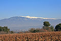 ventoux (pour l'infobox)