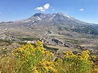 Mt St Helens NVM Июль 2018.jpg