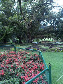Ботанический сад Ути.jpg