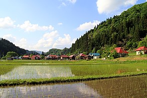 Rice paddies in Aizu in early summer