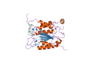 2hby: Crystal structure of human caspase-1 (Glu390->Ala) in complex with 3-[2-(2-benzyloxycarbonylamino-3-methyl-butyrylamino)-propionylamino]-4-oxo-pentanoic acid (z-VAD-FMK)