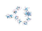 2j6k：CMSN之末端SH3域(CD2AP人类同源物)。