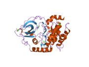 2uw3: STRUCTURE OF PKA-PKB CHIMERA COMPLEXED WITH 5-METHYL-4-PHENYL-1H-PYRAZOLE