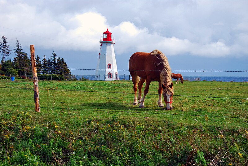 File:Panmure island lighthouse.JPG