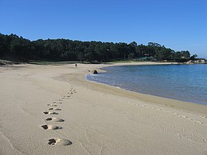 Camiñando na praia Area Grande, O Grove