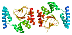 Протеин HCN4 PDB 1q3e.png