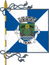 Flag of Trofa