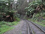 Puffing Billy Railway