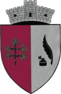 Wappen von Drăguș