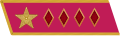 Jacket collar patch and Gymnastyorka