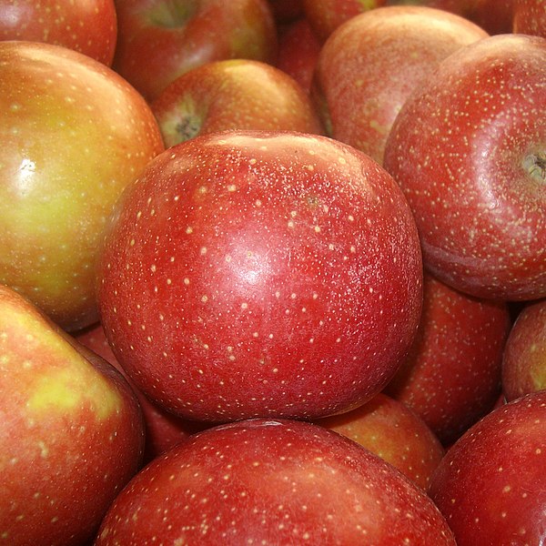 File:Red Delicious apples.jpg