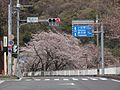 2011年4月16日 (土) 14:58時点における版のサムネイル