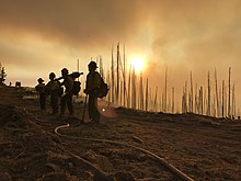 Four firefighters standing next to a hose, watching the Frye Fire, June 17, 2017