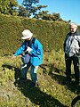 Sortie pédestre botanique, OPL-Chéméré.