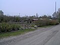 Allotment gardens