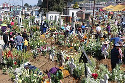 מנחת פרחים על הקברים, יום המתים 2014