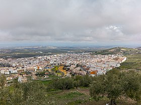 Torredelcampo