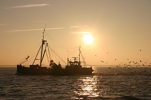 Een trawler bij Makkum tijdens zonsondergang.