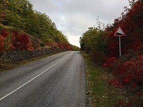 Осенняя скумпия на перевале Урбаш