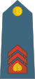 03-Slovenian Air Force-MCP.svg