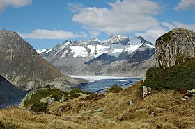 Le Chamm (au second plan à gauche) et les autres sommets des Walliser Fiescherhörner, dominant le glacier d'Aletsch.