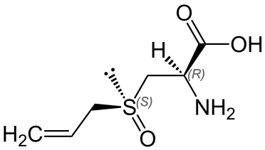 Structure de l'alliine, un sulfoxyde naturel.