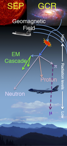 All passengers in commercial aircraft flying above 26,000 feet (7,900 m) typically experience some exposure in this aviation radiation environment. Aviation radiation environment.png