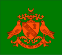 Stato di Balasinor – Bandiera