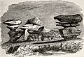 Anvil and Porpoise Head, 1856