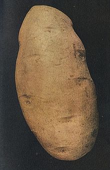 http://upload.wikimedia.org/wikipedia/commons/thumb/6/6e/Burbank_potato1.jpg/220px-Burbank_potato1.jpg