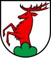 Cervo nascente (Ammerswil, Svizzera)