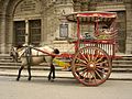 Image 16Kalesa, a traditional Philippine urban transportation, in front of Manila Cathedral entrance (from Culture of the Philippines)