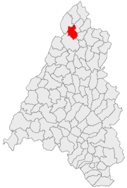 Location of Cherechiu