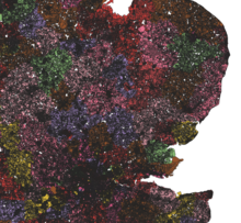 A modern cadastral map for Eastern England Combined Land Parcels of Eastern England from English & Welsh Cadastral Data.png