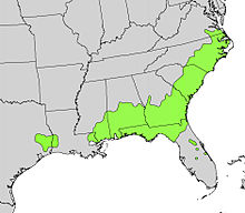 Cyrilla racemiflora range map.jpg