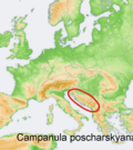 Distribution map Campanula poscharskyana.png