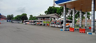 Dominasi medium bus di area parkir terminal